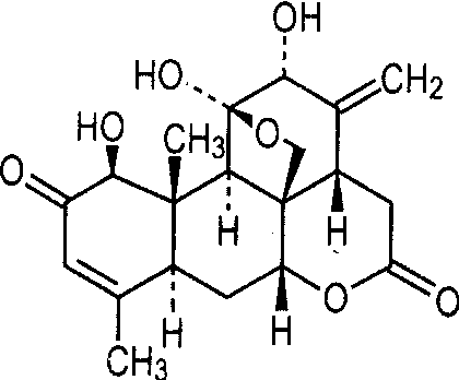 臭椿酮