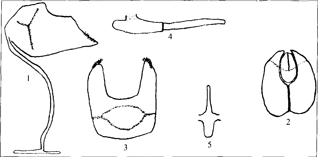 福建亞種