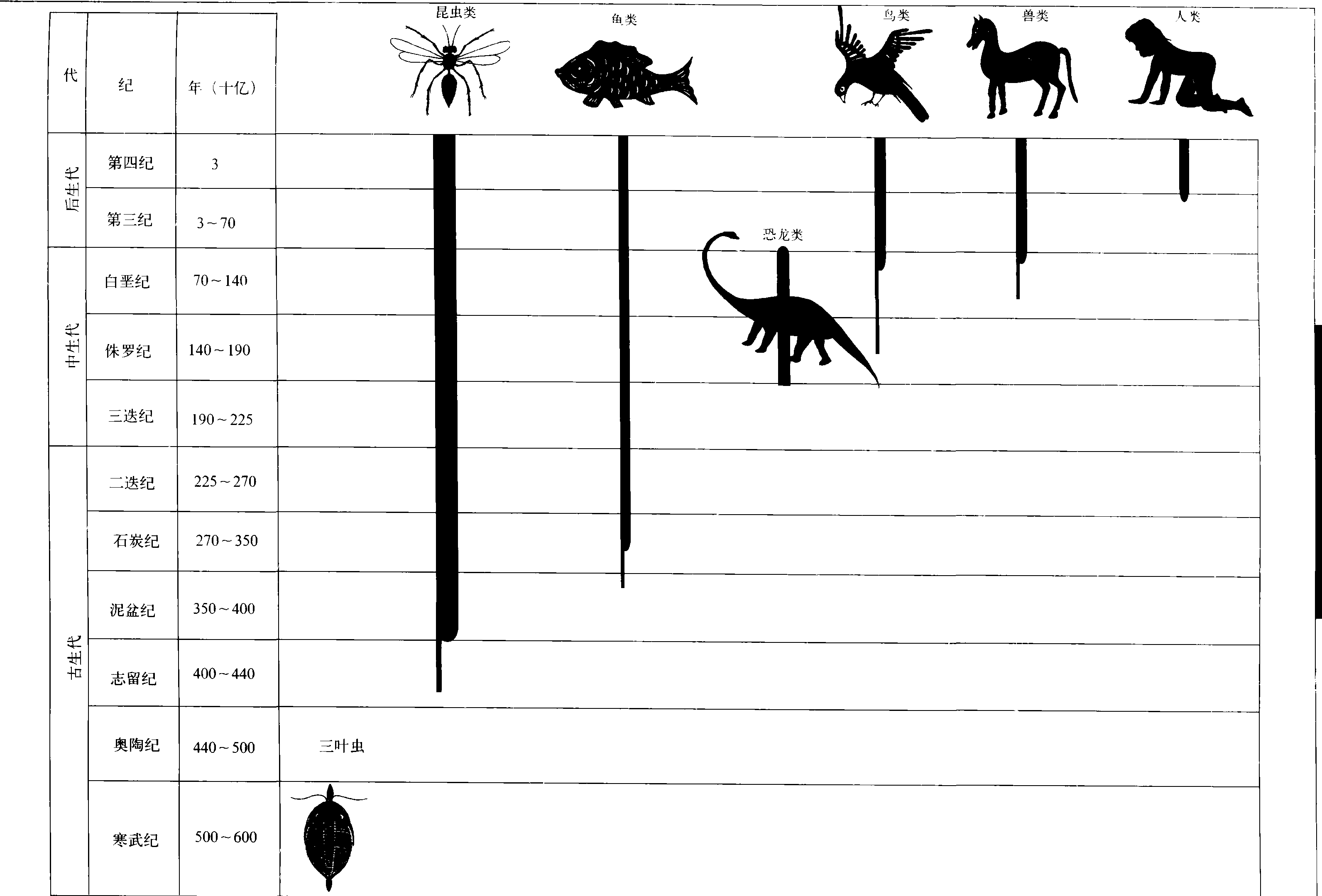 (一)動物進化