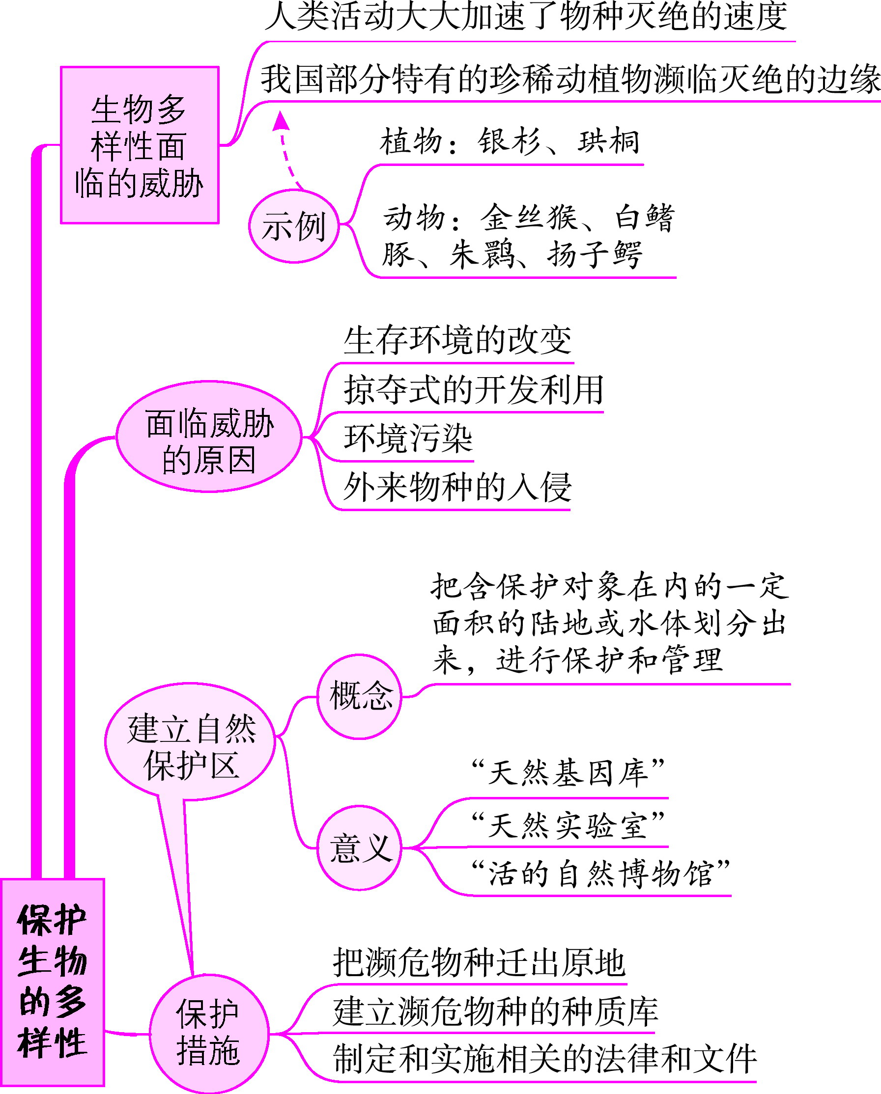 保護(hù)生物的多樣性