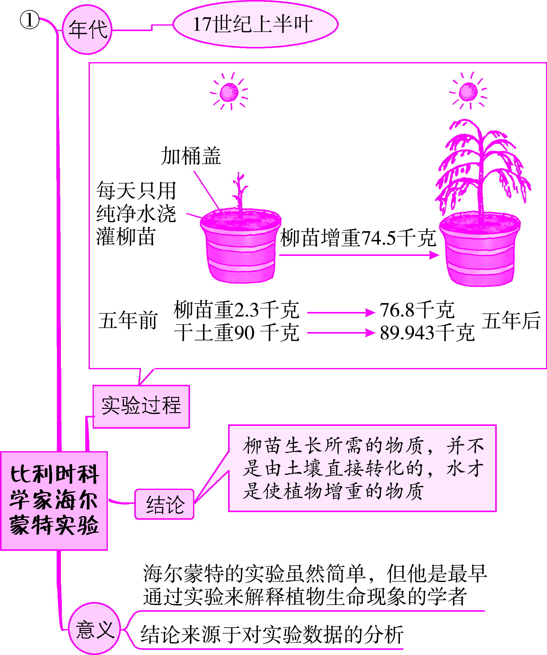 綠色植物的生活方式