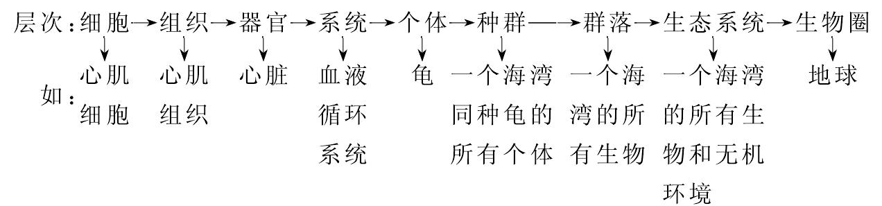 生命系統(tǒng)的結(jié)構(gòu)層次