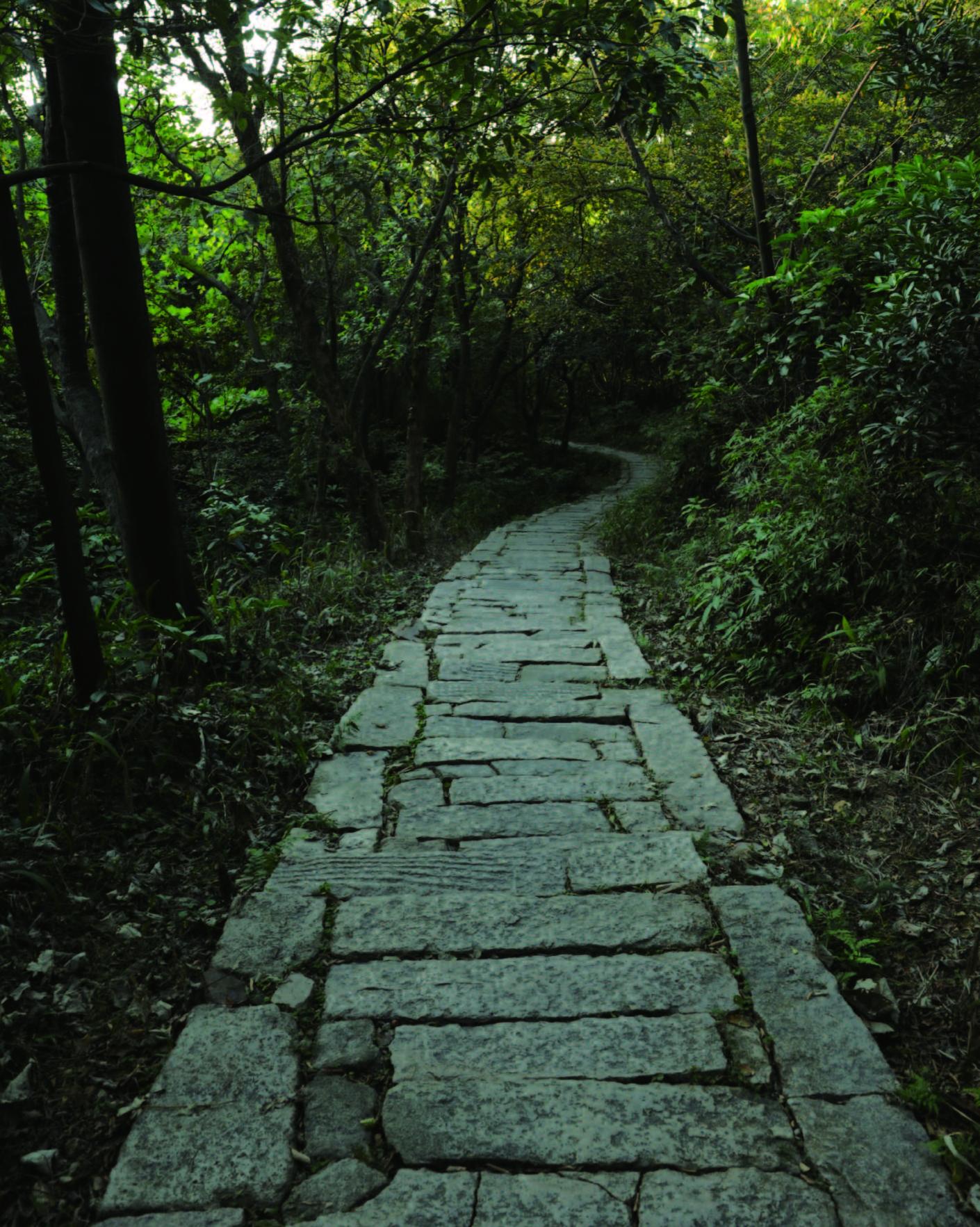 茅竹嶺古道