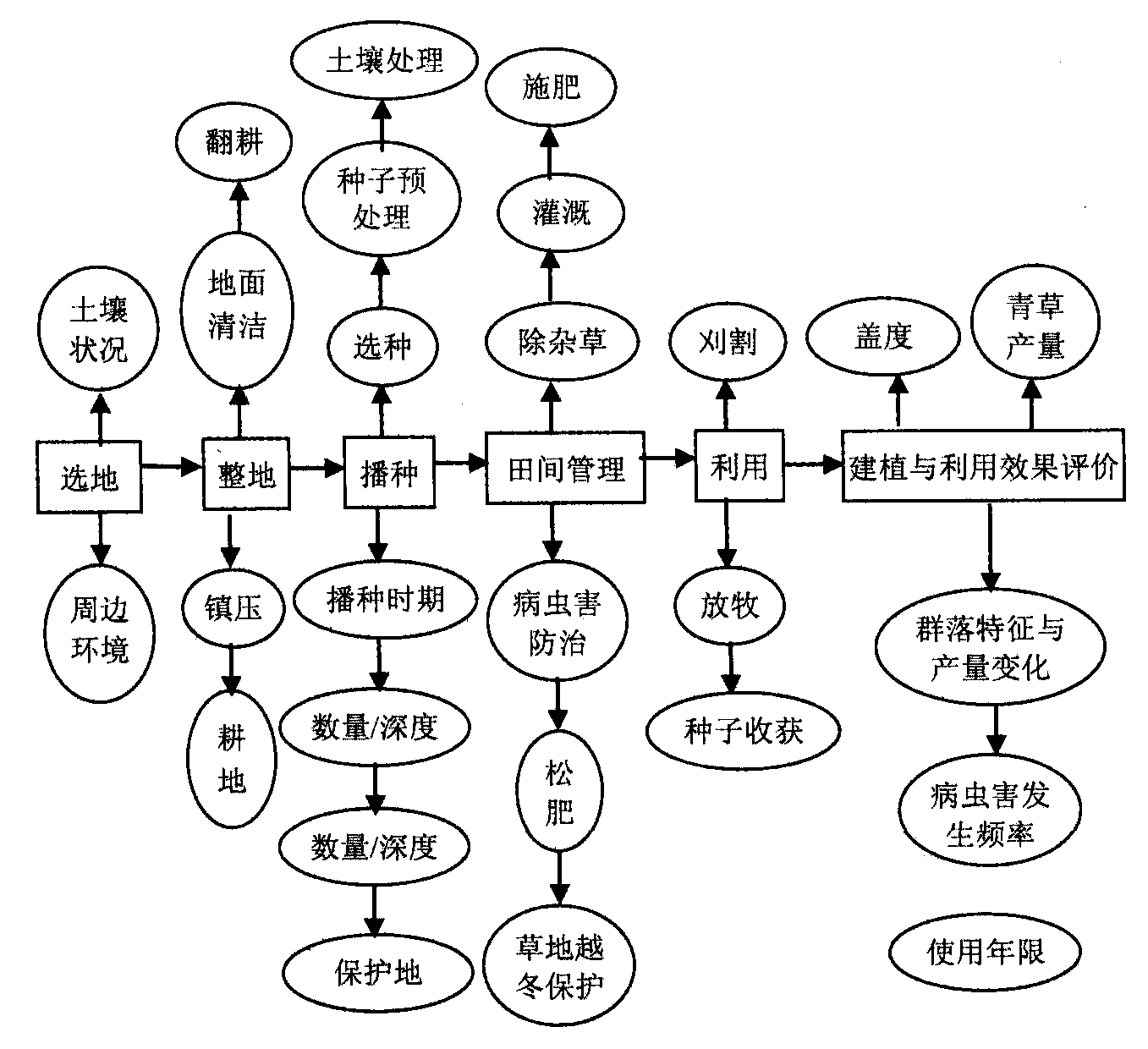 (一)人工草地建植管理模式