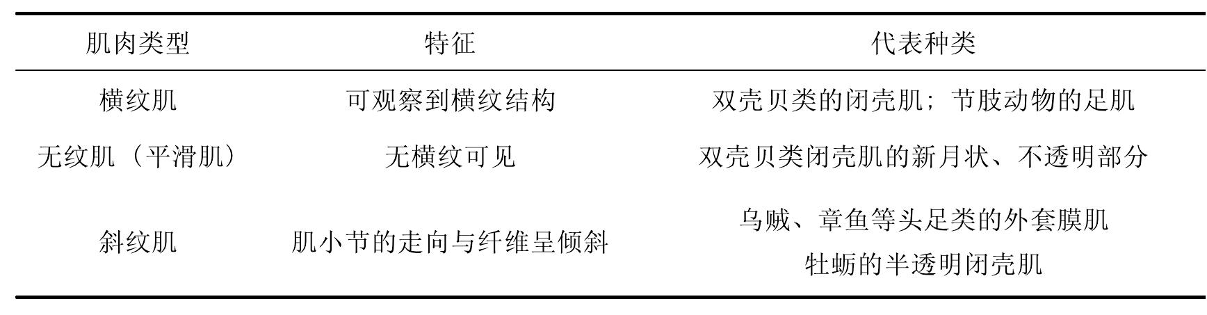 二、貝類全臟器及肌肉組織構成